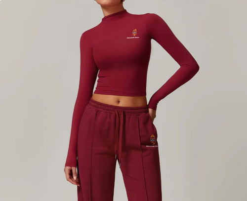 Mock Neck Long Sleeve Crop Top